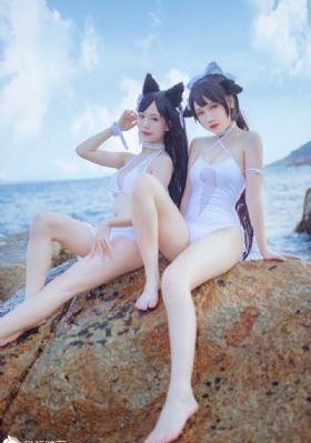 真心英雄在线观看完整版电影_DVD免费观看最新